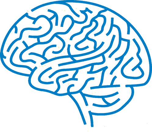 NLP Mindgasmic 